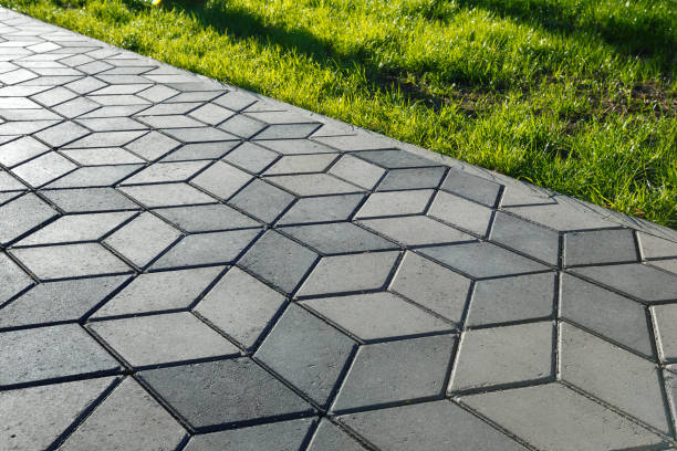 Best Driveway Paving Contractor  in Cary, NC